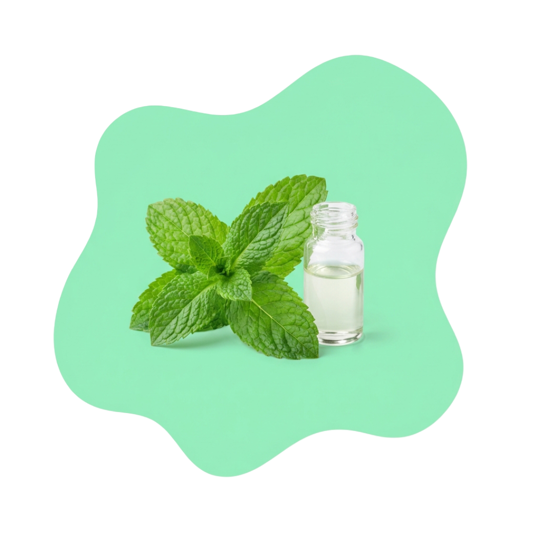 Mint Oils